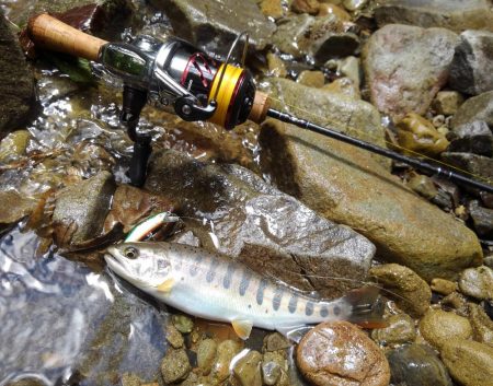 増水の渓でミノーイング